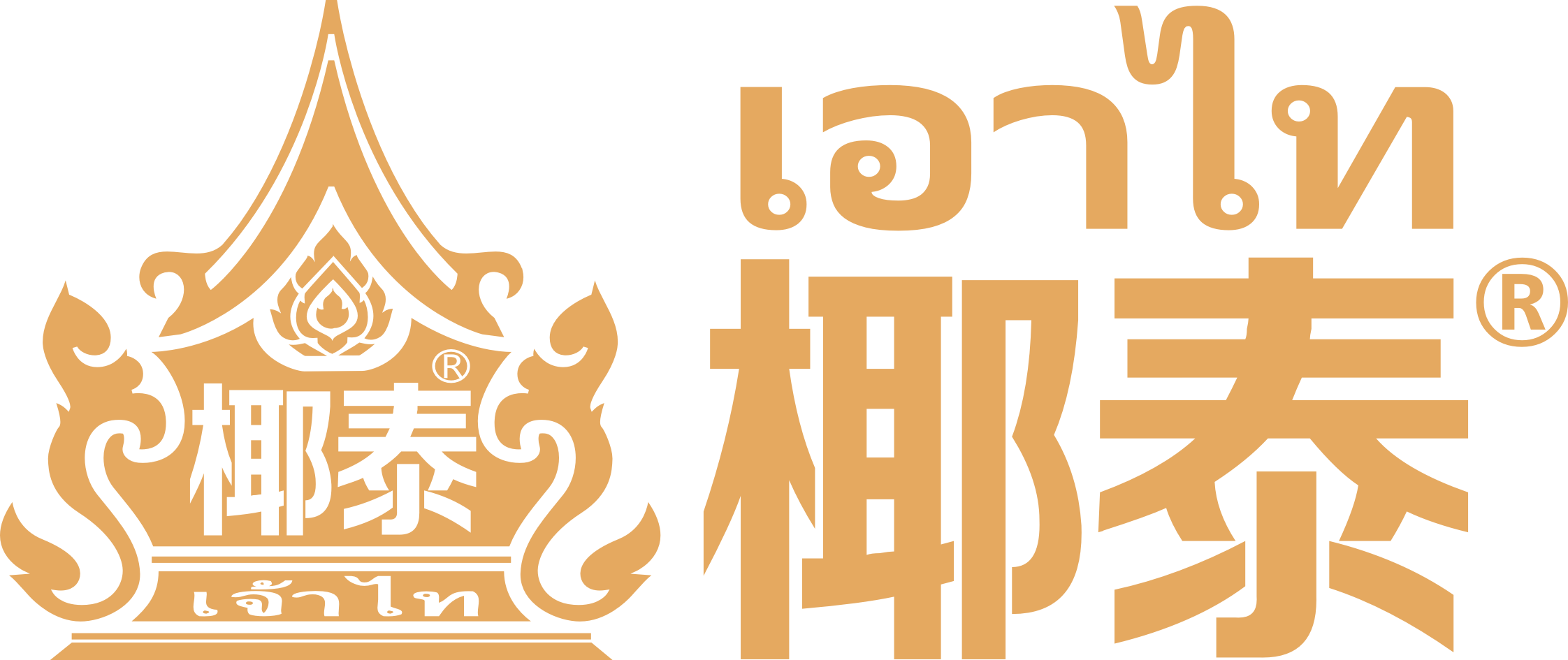椰泰产品-广东椰泰饮料集团有限公司